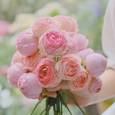 The first lady Rose